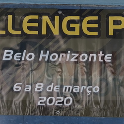 Tênis de Mesa - Challenge Plus BH